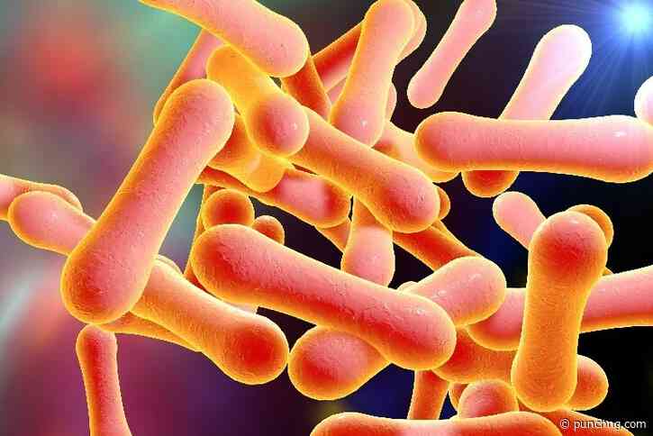 Diphtheria: 29 Katsina LGs affected, Kano confirms two deaths