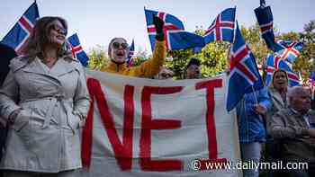 DAN HANNAN: If a nation as small as Iceland can proudly go it alone, why would ANYONE want to reverse Brexit?