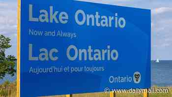 Ontario's biggest power company ignites fury as outage map displays Lake America after Trump's name change