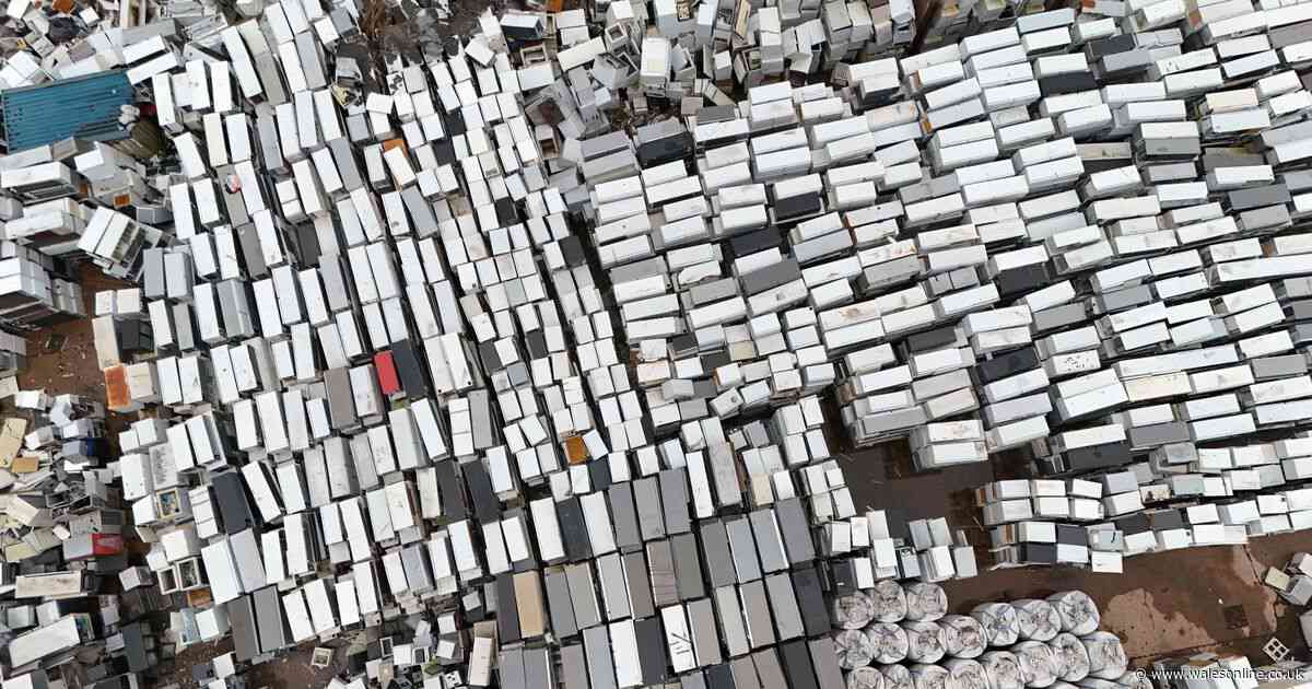 The Welsh dock where tens of thousands of fridges have been left to rot