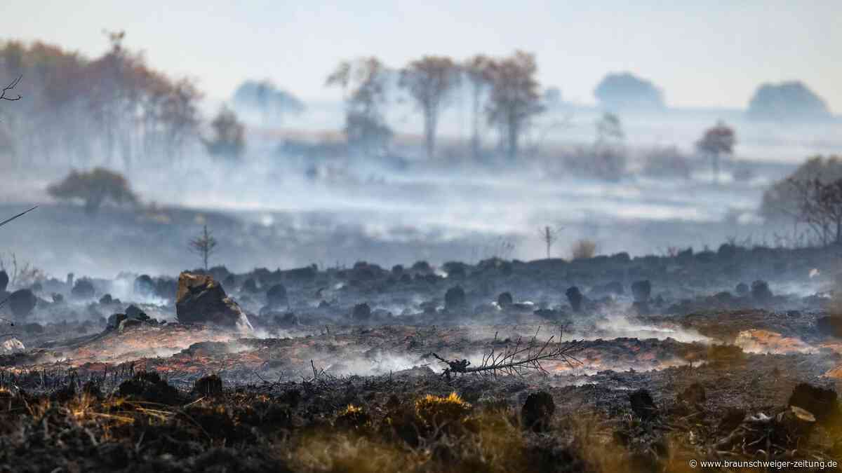 Wetterdienst: Hitze-Sommer wäre ohne Klimawandel „statistisch unmöglich“ gewesen