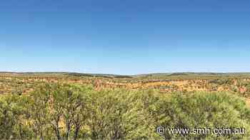 Barkly NT test cracks 99% magnet rare earths extraction