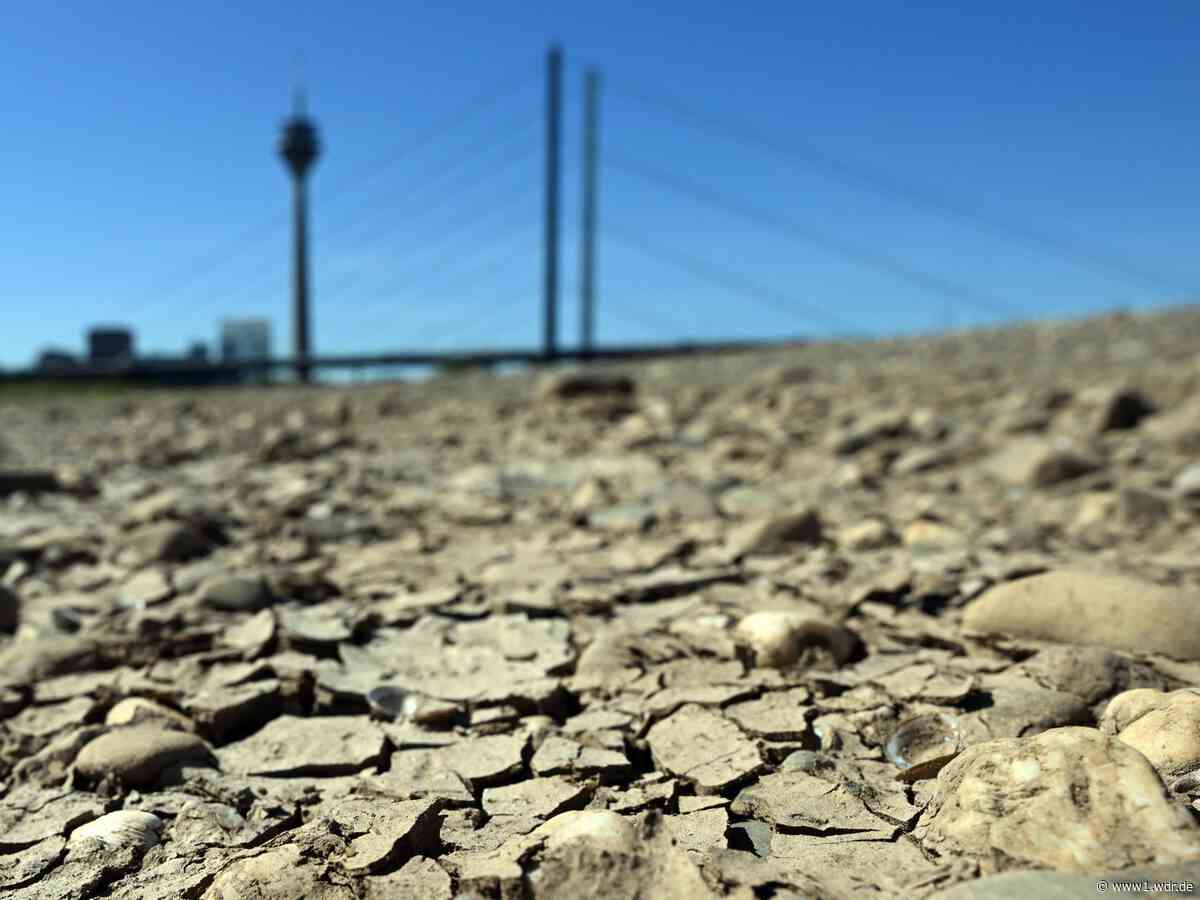 Sommer geht zu Ende: So ist die vorläufige Bilanz