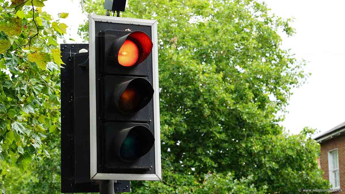 Motoring expert explains what to do if you are at a traffic light stuck on red