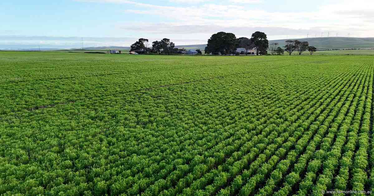 Entry-level SA cropping farm starts at $3185 per acre