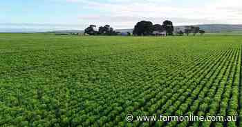 Entry-level SA cropping farm starts at $3185 per acre