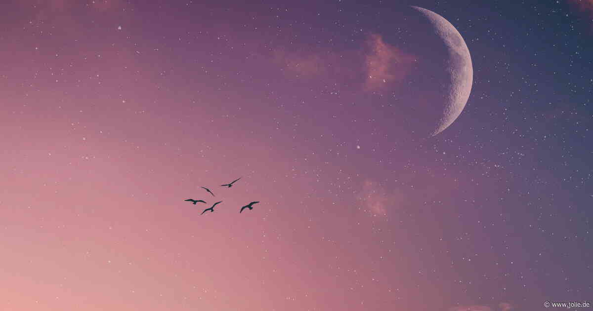 Horoskop heute: Dein Tageshoroskop am 31. August 2026