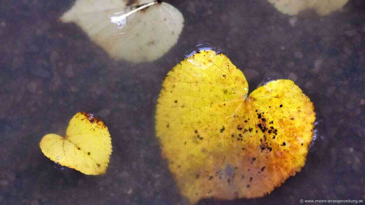 Endlich Herbst! Neun Dinge, die einen jetzt erfreuen können