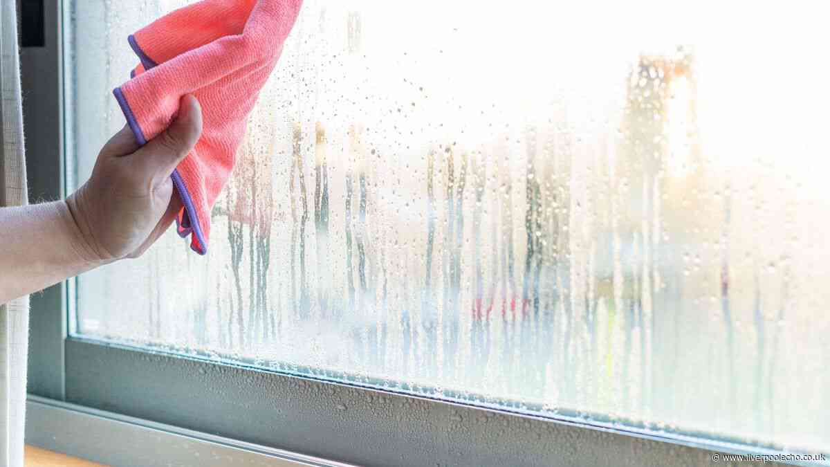 Condensation will stop returning on windows for weeks with £1 cupboard staple