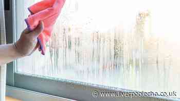 Condensation will stop returning on windows for weeks with £1 cupboard staple