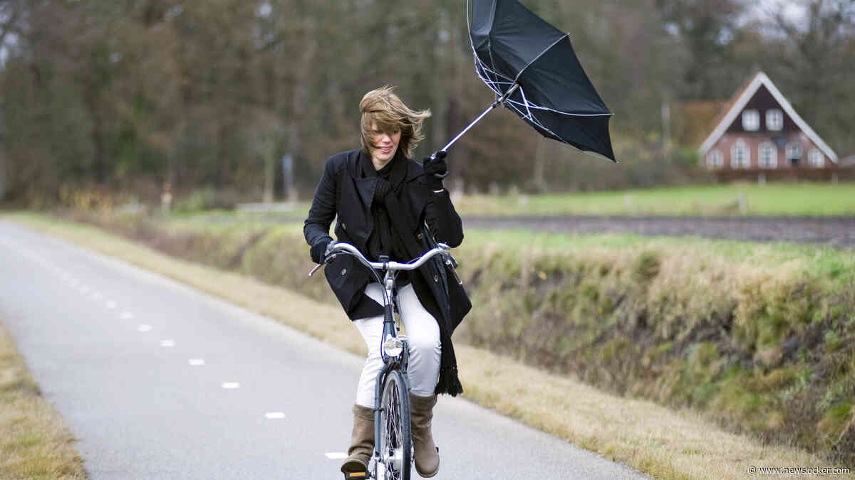 Code geel in kustprovincies: kans op zware onweersbuien en windstoten tot 70 kilometer per uur