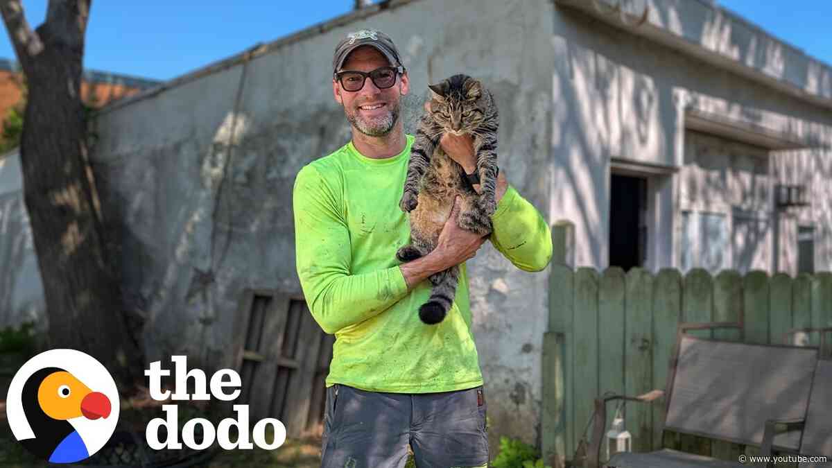 Cat Gets Stranded On Tiny Branch During Powerful Winds | The Dodo