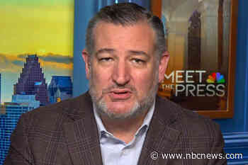 Sen. Ted Cruz calls for elections in Venezuela to proceed ‘rapidly’