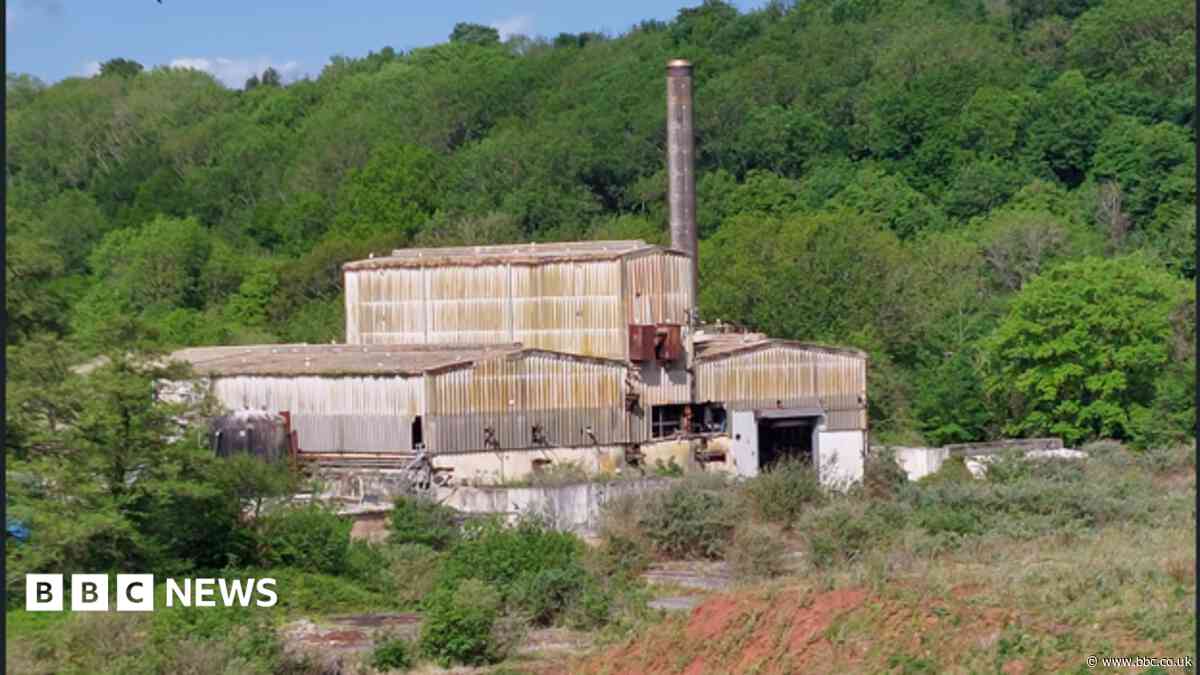 Former paper mill could be 'jewel in town's crown'