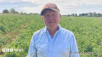 Farmers call for food rules update after heatwaves