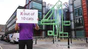 Channel 4 urged to rename comedy series 8 Out of 10 Cats