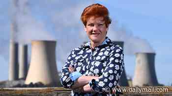 One Nation vows to ramp up gas exploration and scrap 'nonsense' renewable projects as Pauline Hanson unveils new energy policy in Victoria