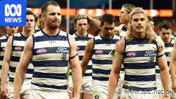 Cats claim they are not distracted by concussion controversy