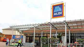 'Organised genius' with Aldi £9 item similar to £13 Argos and £15 B&Q in stores now