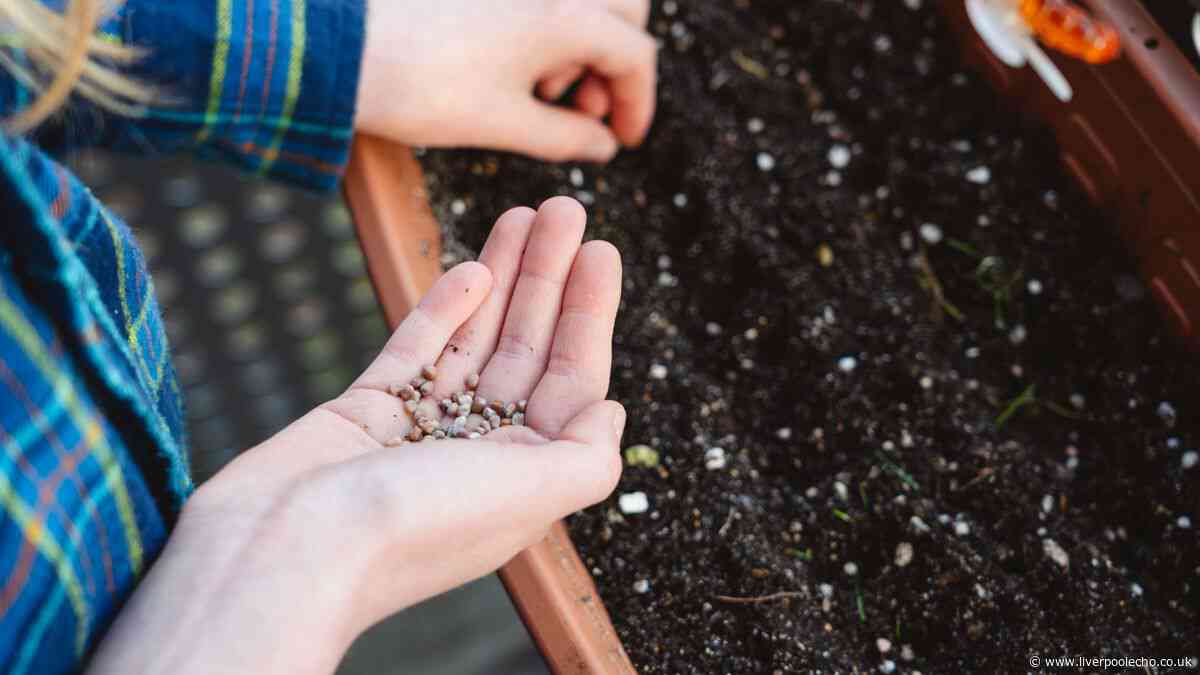 Experts' top tip for a better garden next summer must be done now for best results