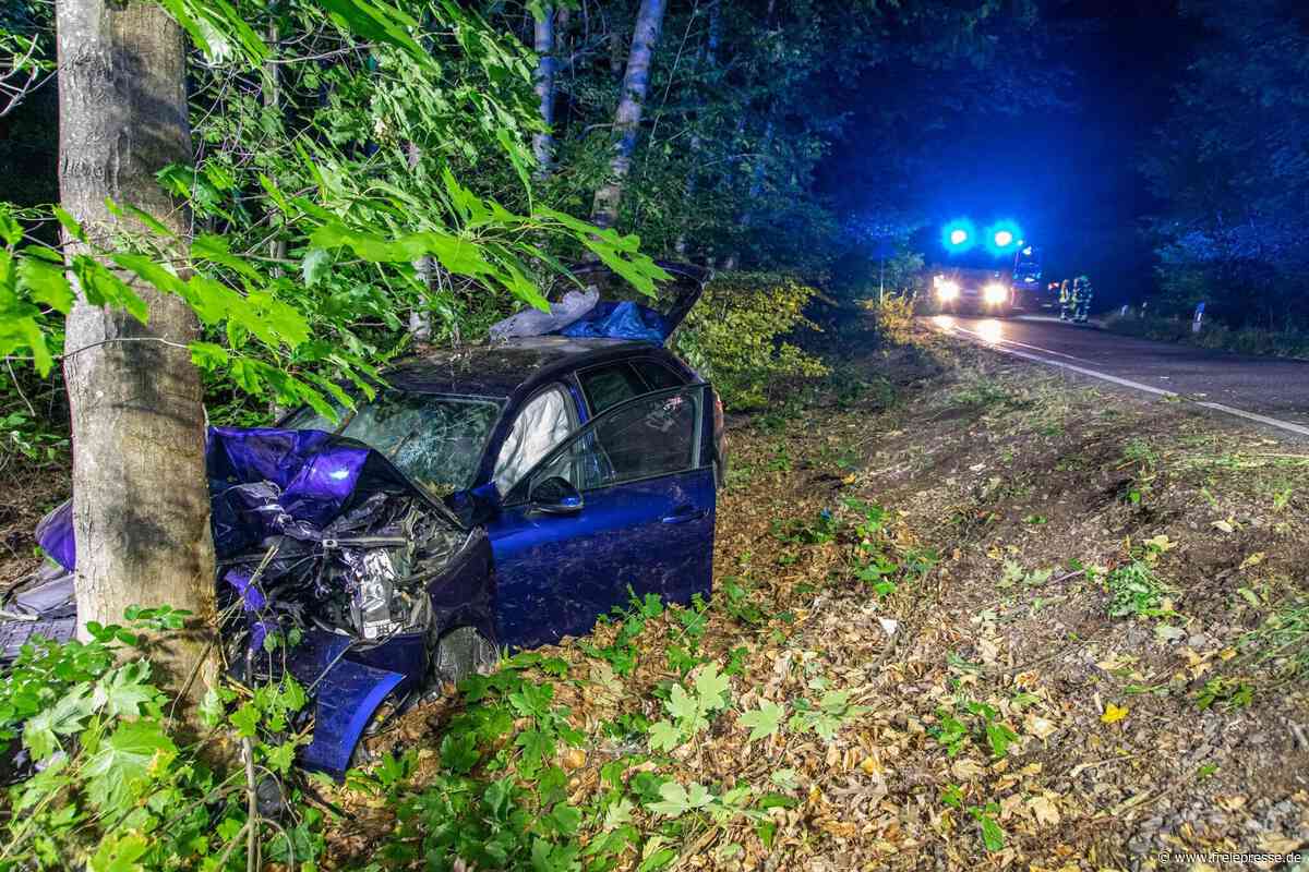 Schwerer Unfall bei Hennersdorf: Audi prallt gegen Baum