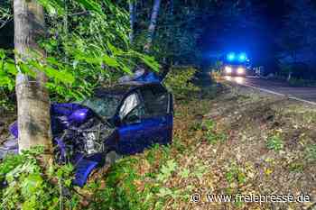 Schwerer Unfall bei Hennersdorf: Audi prallt gegen Baum