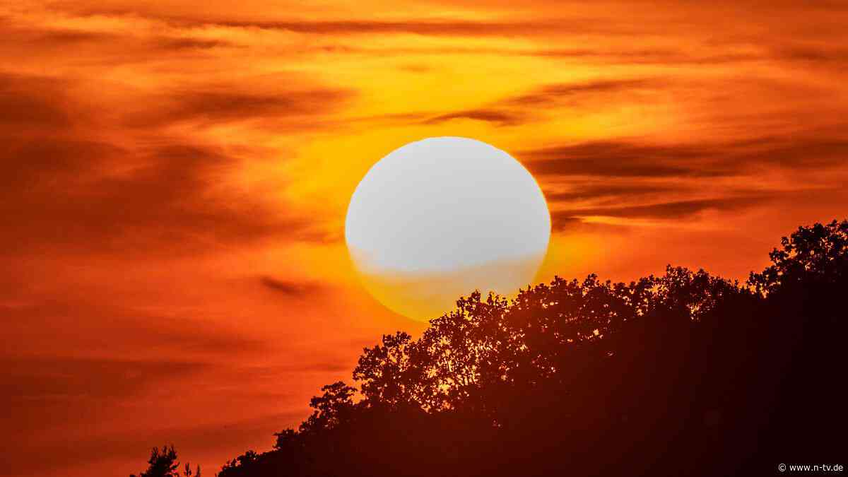 Mehr als 15.000 Hitzetote: Deutscher Wetterdienst verzeichnet einen der wärmsten Sommer