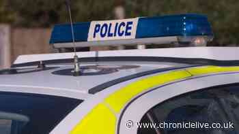 Police statement as three more arrested after North East assault and homes pelted with bricks