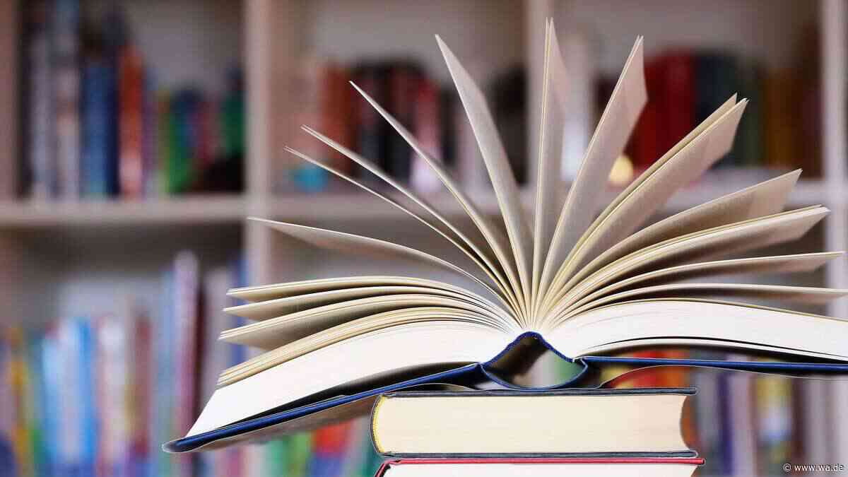 Big Tech zerstört Bücher für KI-Training – warum das Aussortieren der eigenen Bibliothek trotzdem befreit