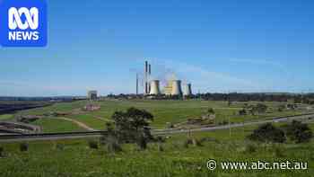 One Nation commits to coal-fired power and lifting nuclear ban in Victoria