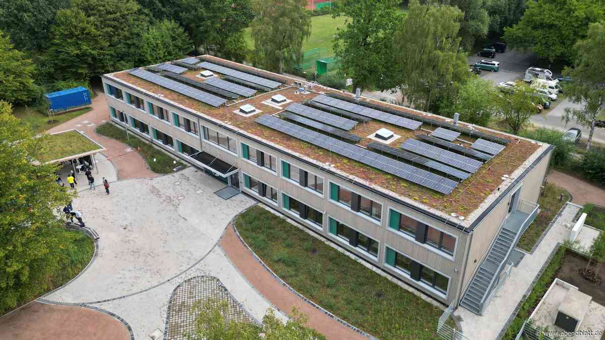 „Wir passen nicht ins Kinderzimmer“: Was Osdorfs Meerschweinchen lehren