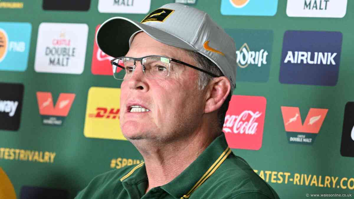World Rugby ordered to punish Springboks as Rassie Erasmus faces new allegations
