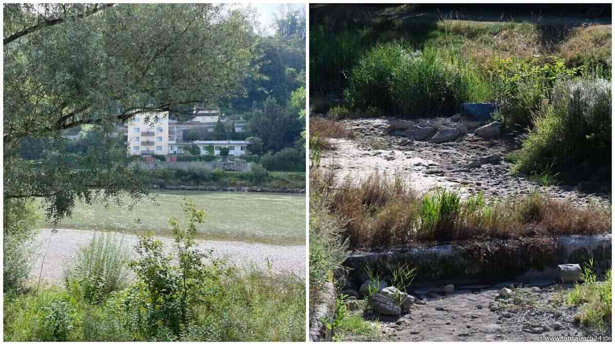 Kaum Regen: So schlimm war der Hitzesommer für die Salzach – das sind die desaströsen Folgen