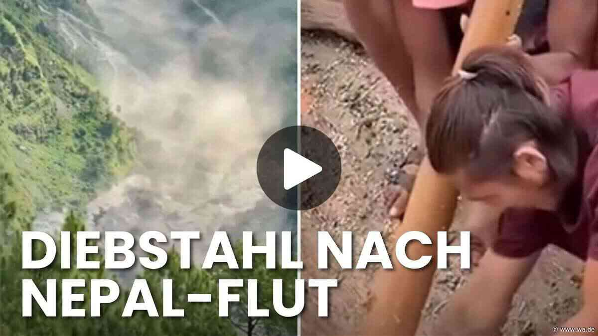Vorgehen „unmenschlich“: Video zeigt Diebstahl in Nepal