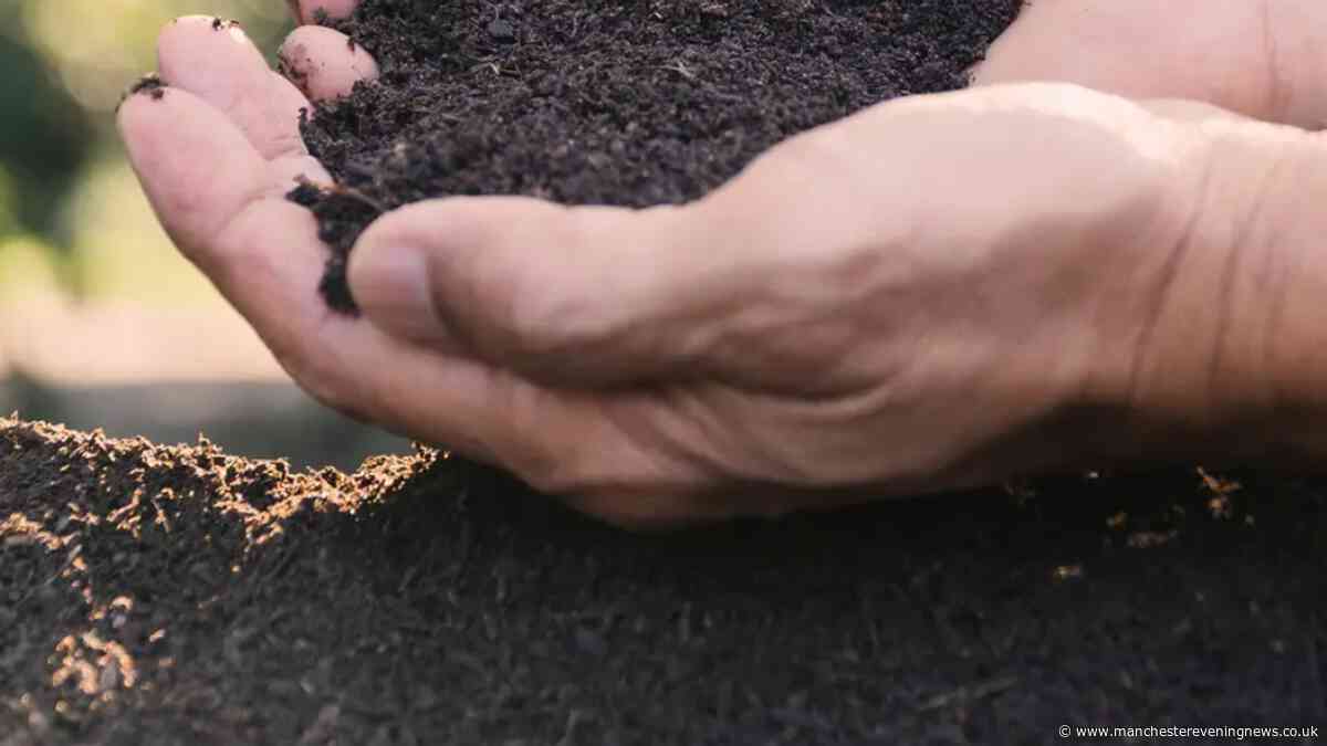 I found an affordable way for gardeners to protect their garden ahead of winter