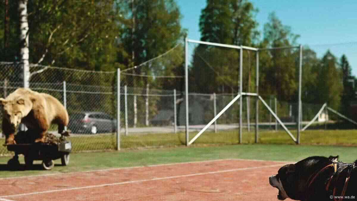 Was der Hund wirklich tut, wenn sein Halter in Gefahr ist