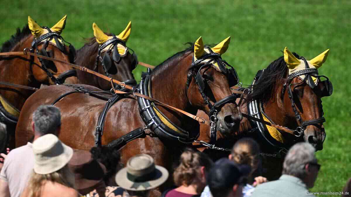 Rosstag in Rottach-Egern: Prachtvoller Kutschen-Umzug begeistert am Tegernsee