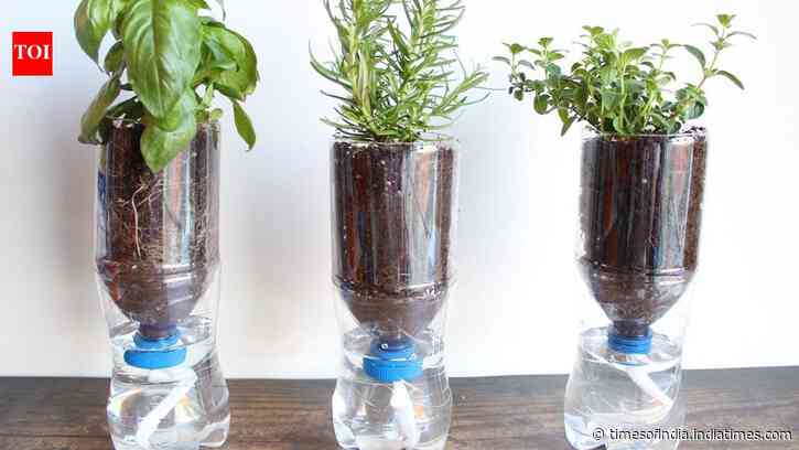 Make A Self-Watering Planter: Turn a plastic bottle into indoor herb pot; easy DIY upcycle guide