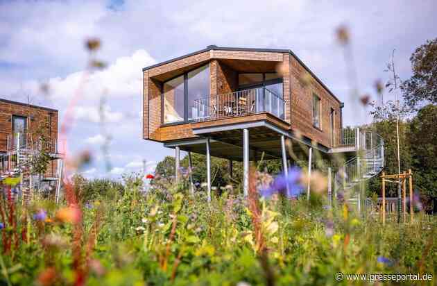 Übernachten im Baumhaus in Deutschland: Warum Architektur, Ruhe und Natur im Herbst und Winter besonders wirken