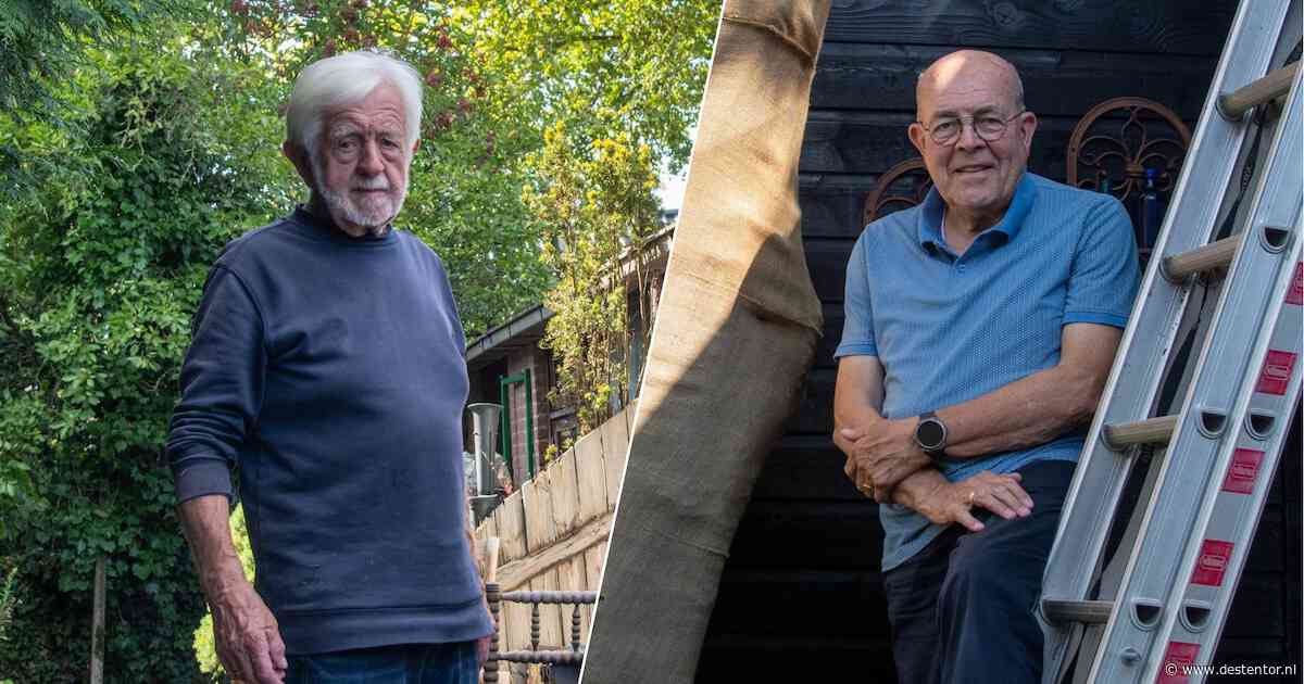 Burenruzie om één oude beuk: Dries (86) en Wim (76) kijken elkaar niet meer aan