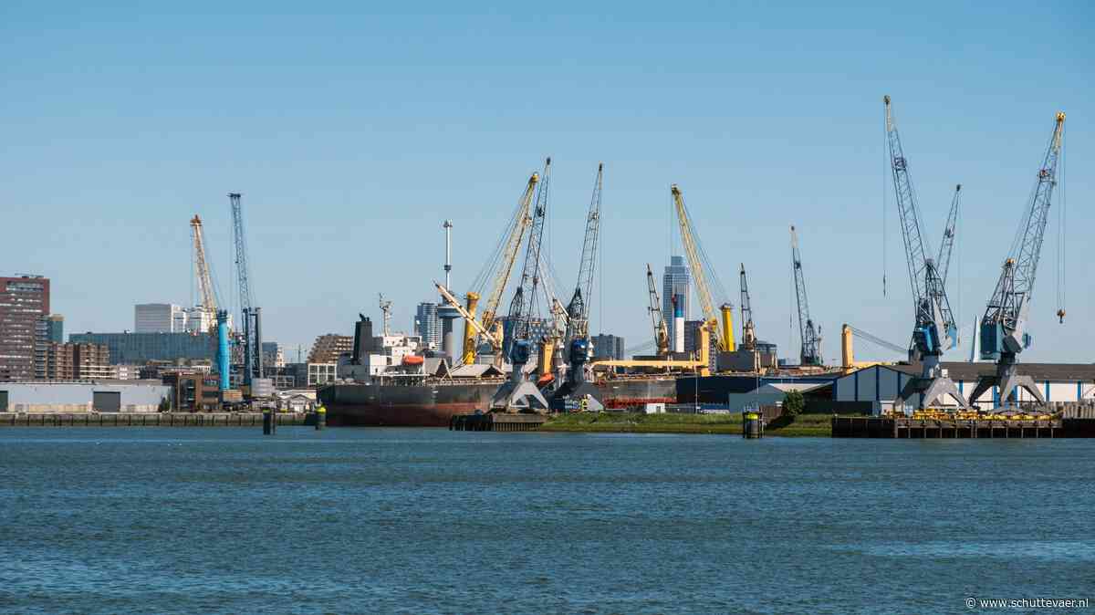 ‘Staking is vooral slecht voor imago haven Rotterdam’