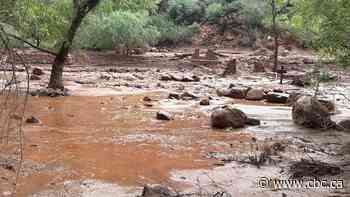 Grand Canyon flash flood leaves 1 dead and several missing or unaccounted for, park service says