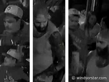 Windsor police seeking two suspects after violent attack, phone theft