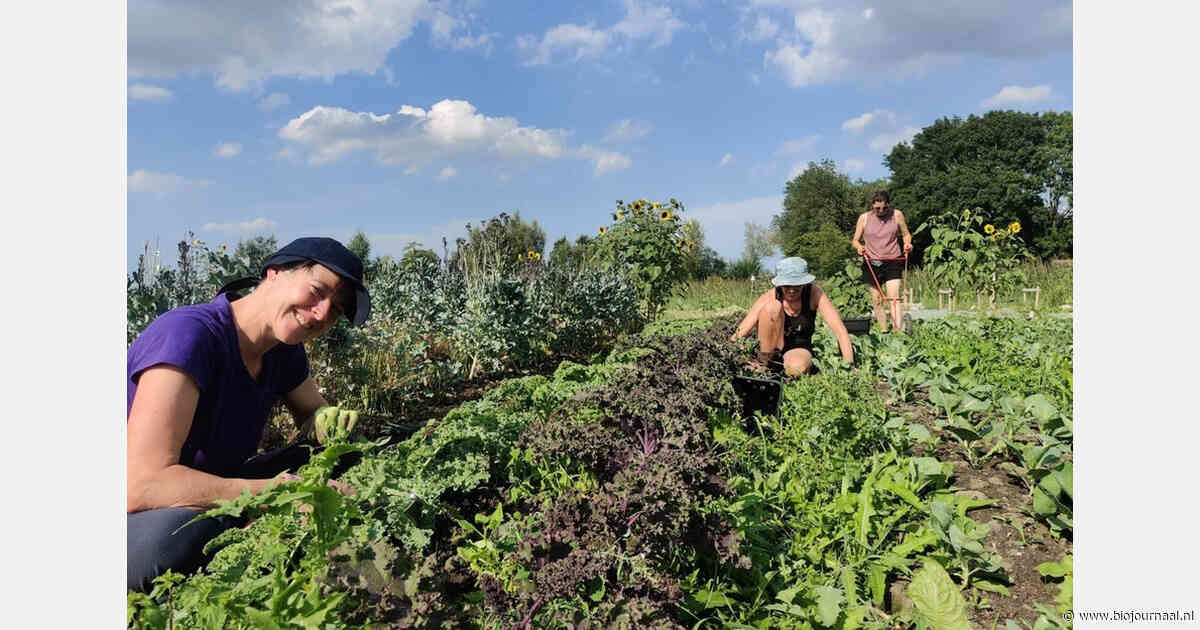 Voedselpark Amsterdam vraagt gemeenteraad om zorgvuldig debat over Lutkemeerpolder