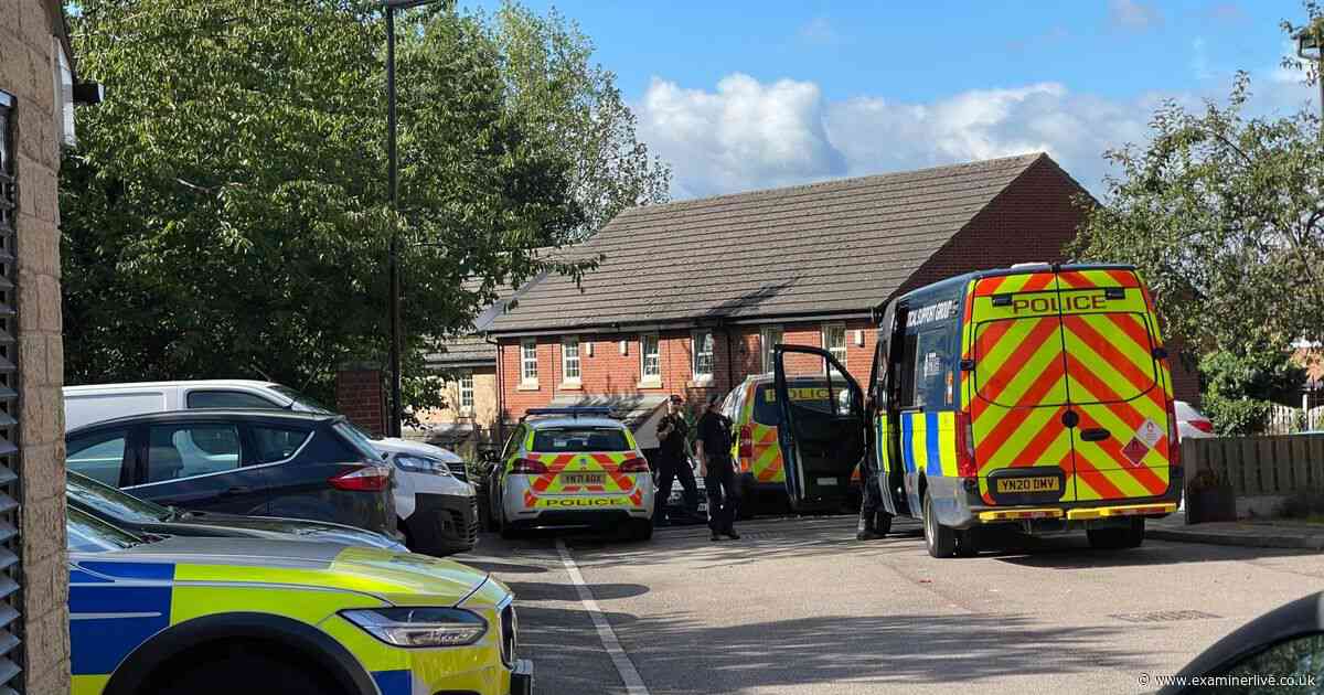 Major Sheffield police scene in pictures as baby girl found dead and seven murder arrests made