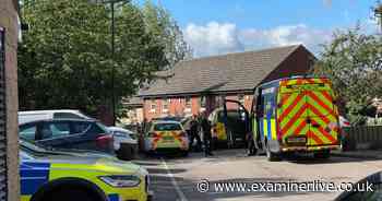 Major Sheffield police scene in pictures as baby girl found dead and seven murder arrests made