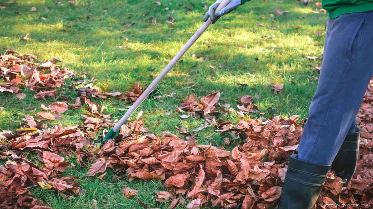 Gardeners urged to do 5 jobs in September to make a ‘huge difference' before autumn