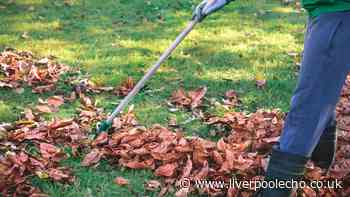 Gardeners urged to do 5 jobs in September to make a ‘huge difference' before autumn