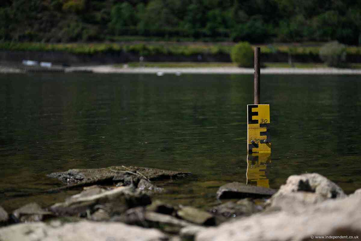 Rhine water levels rise after rain but shipping problems continue for Germany