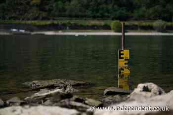 Rhine water levels rise after rain but shipping problems continue for Germany